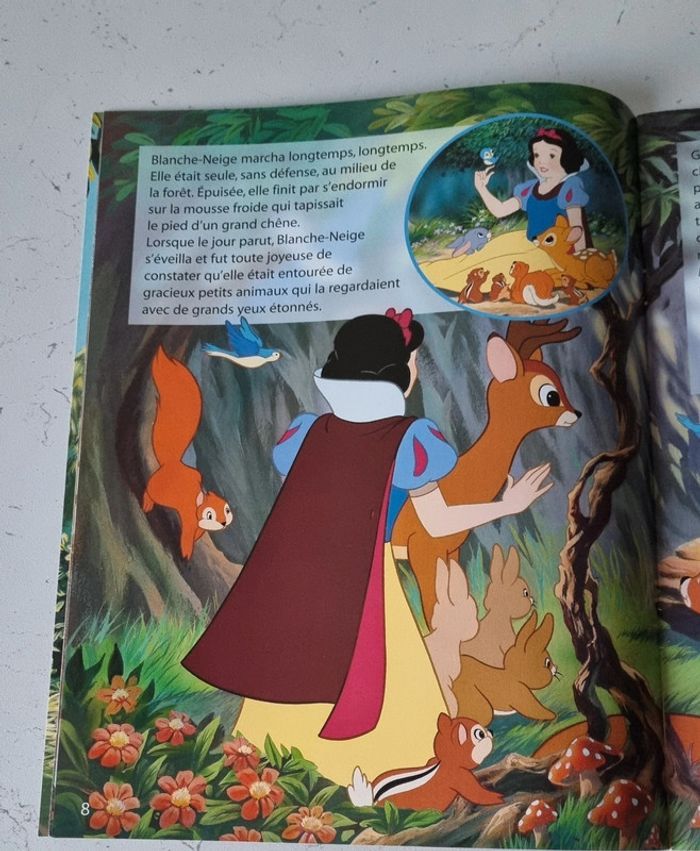 Blanche Neige Et Les Sept Nains - photo numéro 3