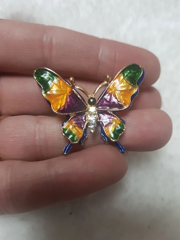 Papillon multicolore - photo numéro 2
