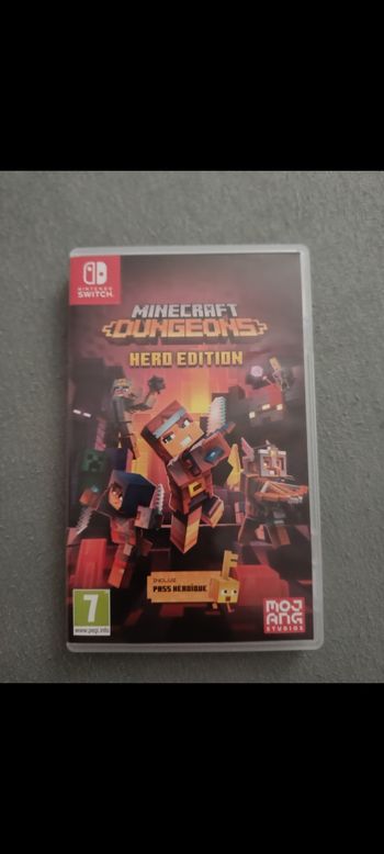 Minecraft Dungeons Hero Edition