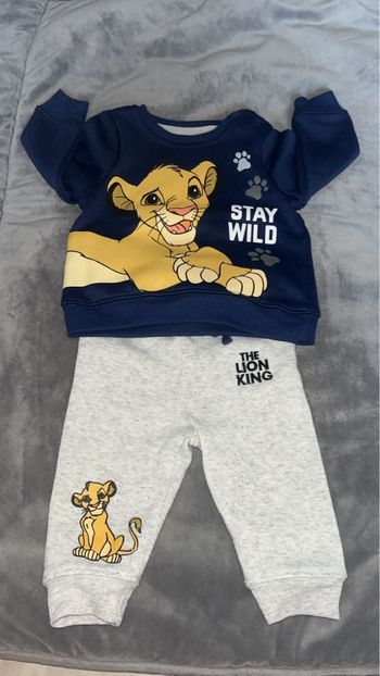 Ensemble le roi lion