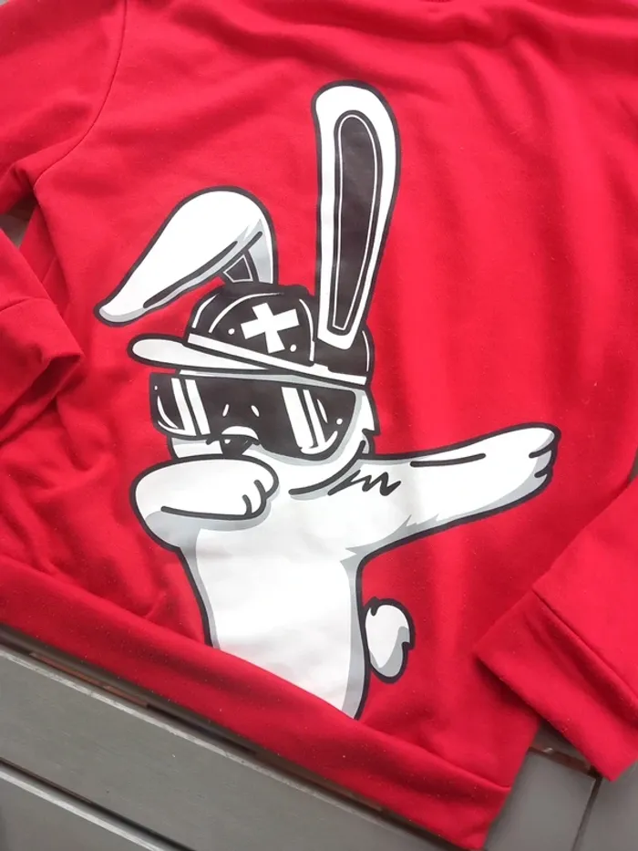 Sweat à capuche swag - photo numéro 2