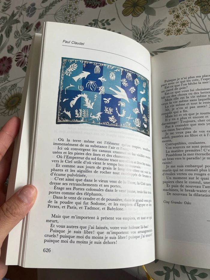 Les plus belles pages de la poésie - photo numéro 5