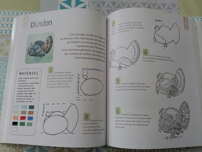 Dessiner et peindre les animaux - photo numéro 4