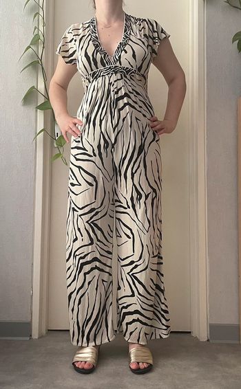 Combinaison zèbre 🦓