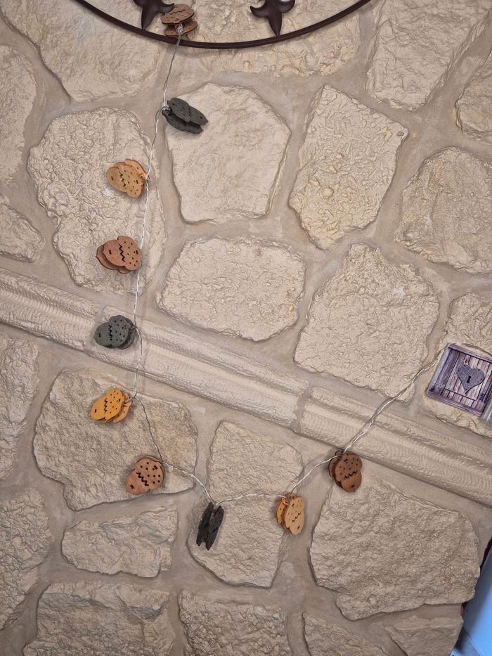 Guirlande lumineuse glands à leds - photo numéro 4