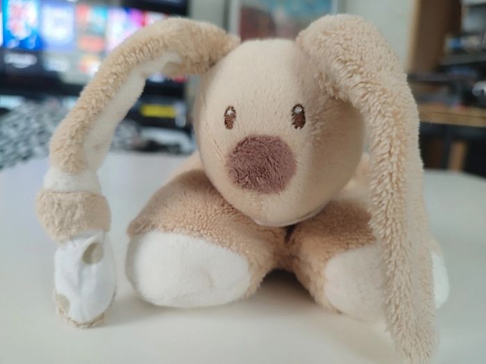Lapin crème Nattou - photo numéro 2