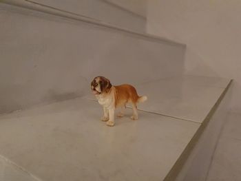 Chien saint Bernard schleich