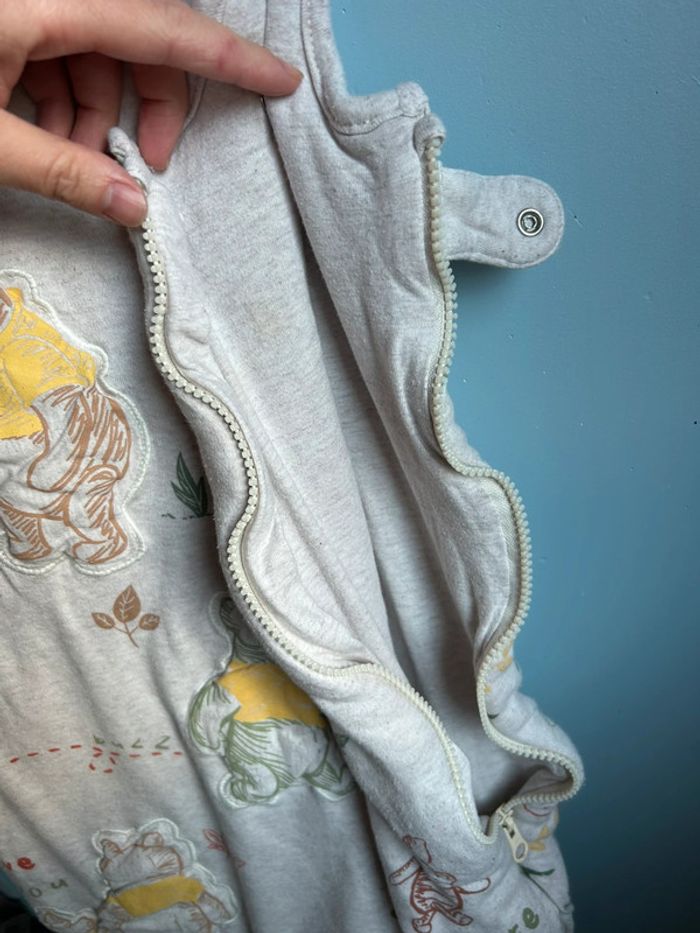 Gigoteuse Winnie l’ourson, primark - photo numéro 12