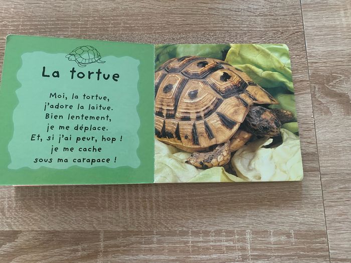 Les animinis à la maison - photo numéro 6