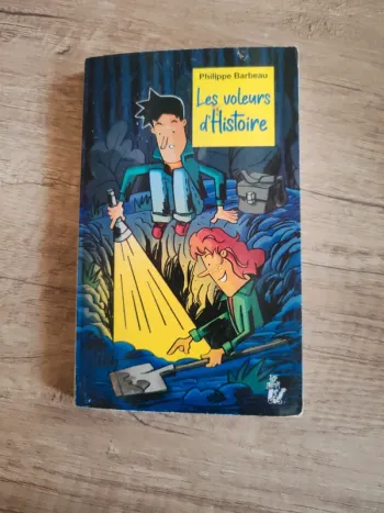 Livre pour enfants "les voleurs d'histoire"