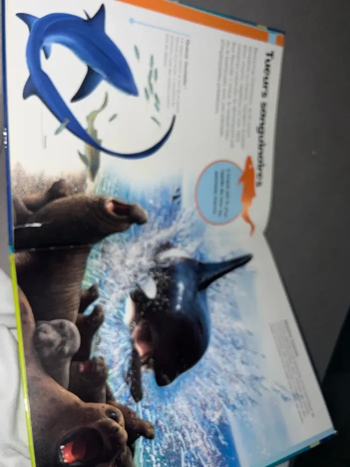 Me première encyclopédie des créatures de la mer - photo numéro 9