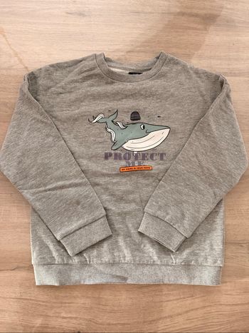 Pull baleine