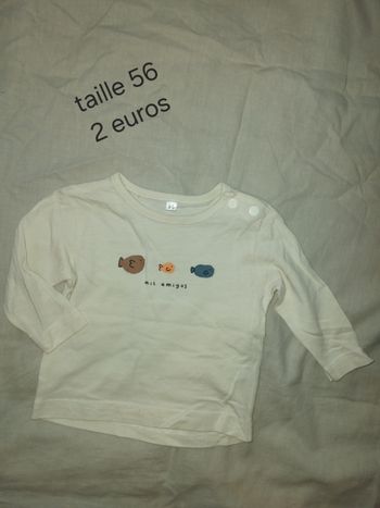 Taille 56