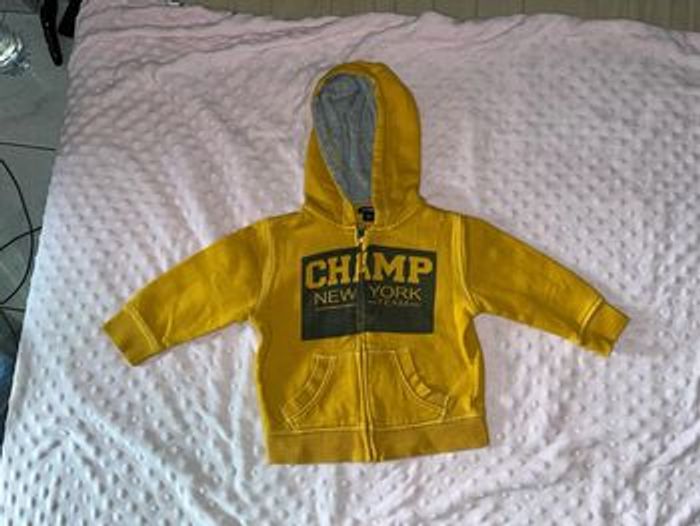 Veste