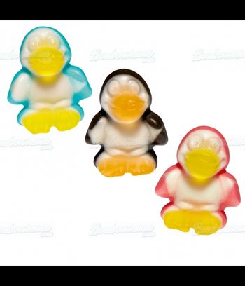 100g de pingouin 
