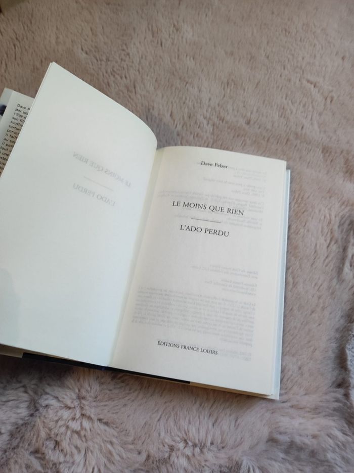 Le moins que rien l'ado perdu - photo numéro 2