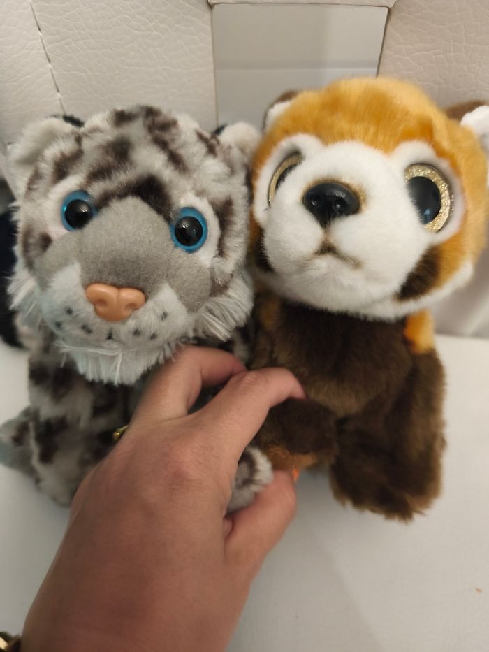 Peluches - photo numéro 2