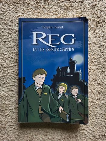 Roman fantastique Reg et les esprits captifs de Brigitte Burlot