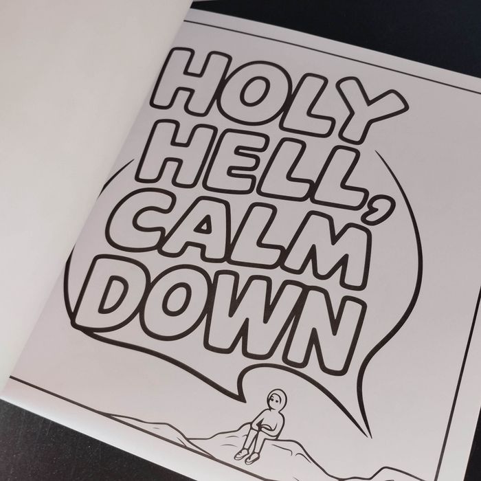 Lot de 4 livres cozy colo 24 pages neufs - photo numéro 3