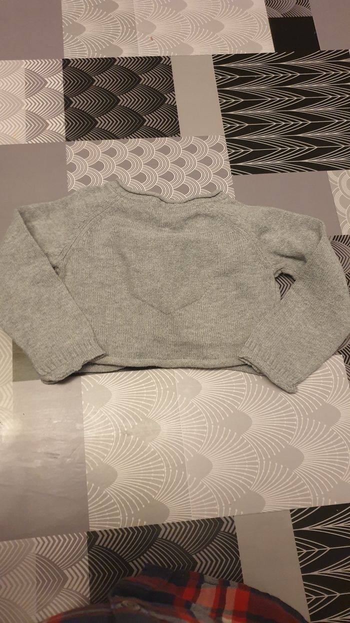 Gilet gris - photo numéro 3