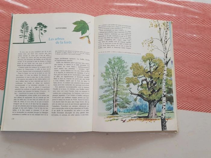 Livre vintage la nature - photo numéro 10