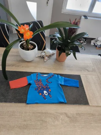 Tee-shirt garçon ml 6 mois Dpam