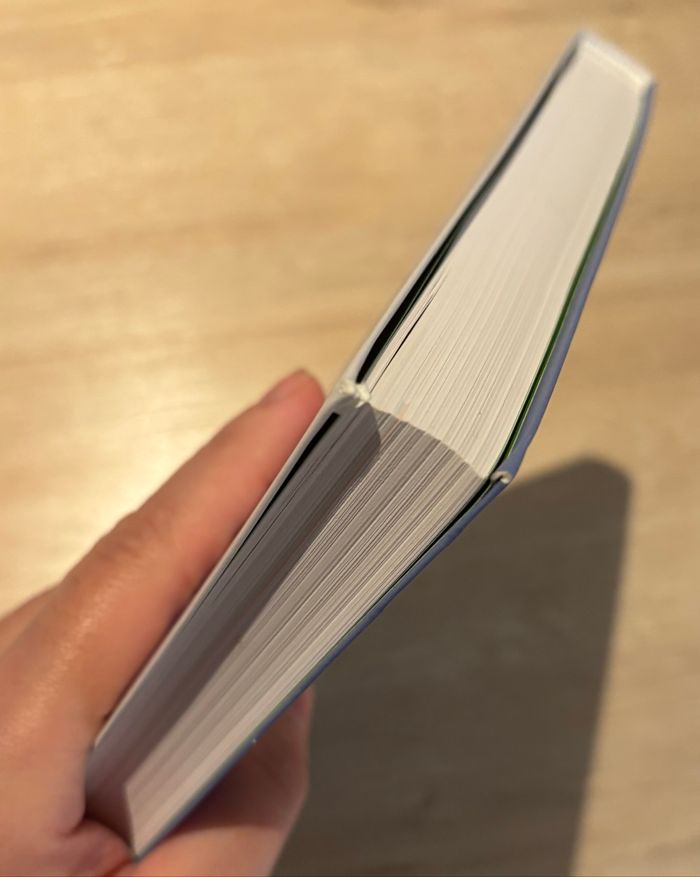 Livre le régime qui tient dans la main - photo numéro 4