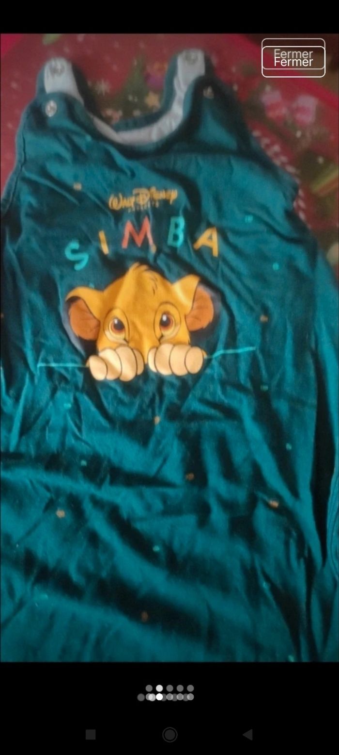 Gigoteuse v12 - photo numéro 5