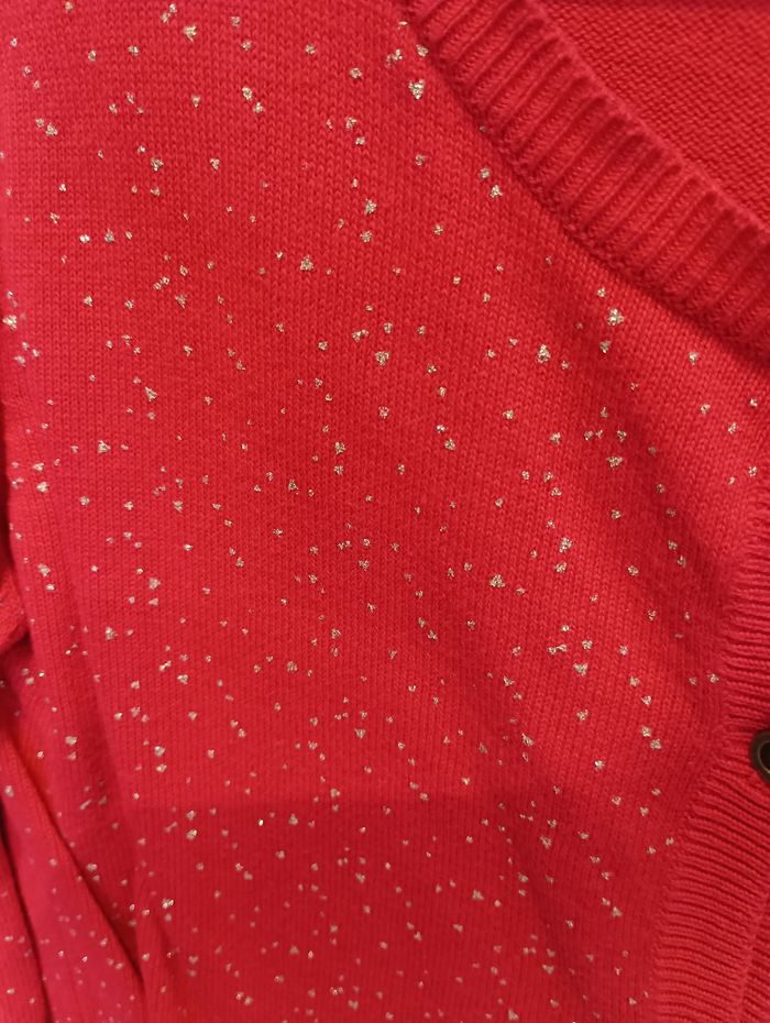 Gilet - photo numéro 2