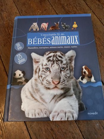 Encyclopédie des bébé animaux