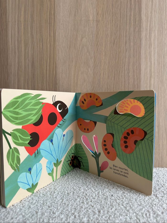 Livre la coccinelle - photo numéro 2
