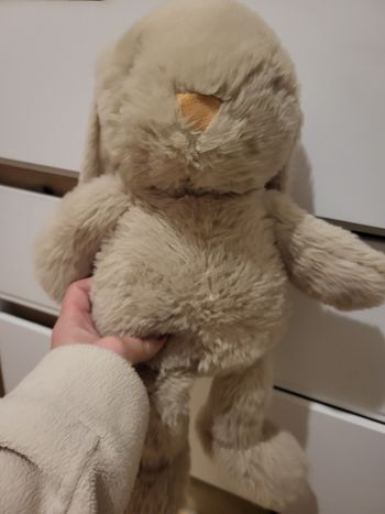 Lapin de chez action