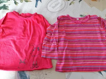 Lot de 2 hauts 18 mois.
