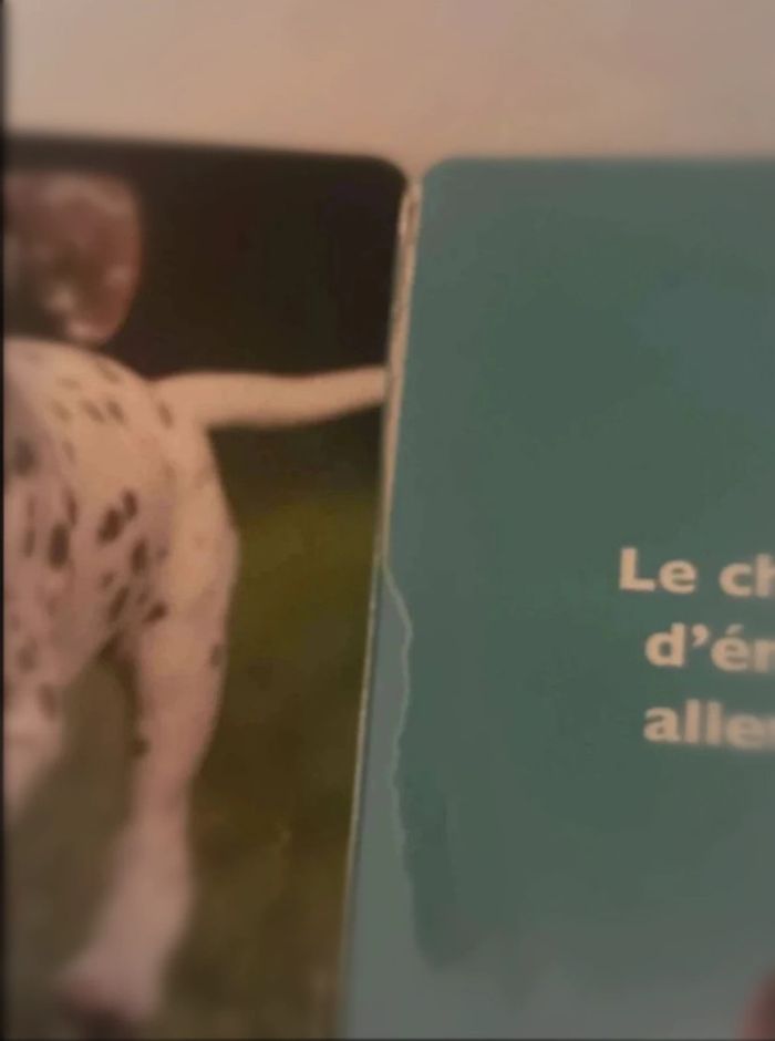 Livre les  animaux  de  compagnie - photo numéro 5