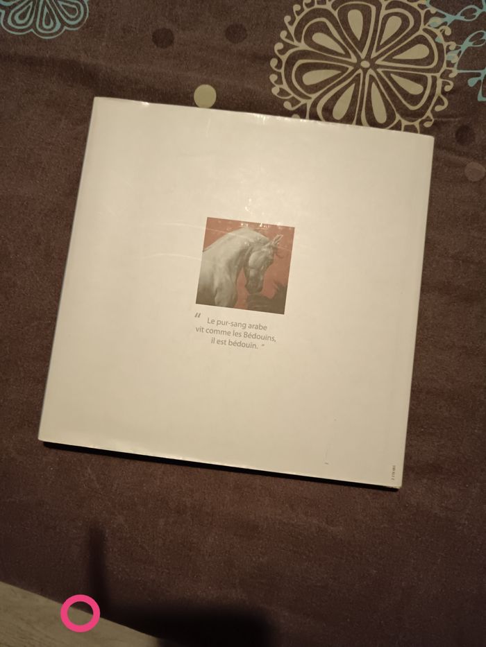 Livre sur les chevaux - photo numéro 2