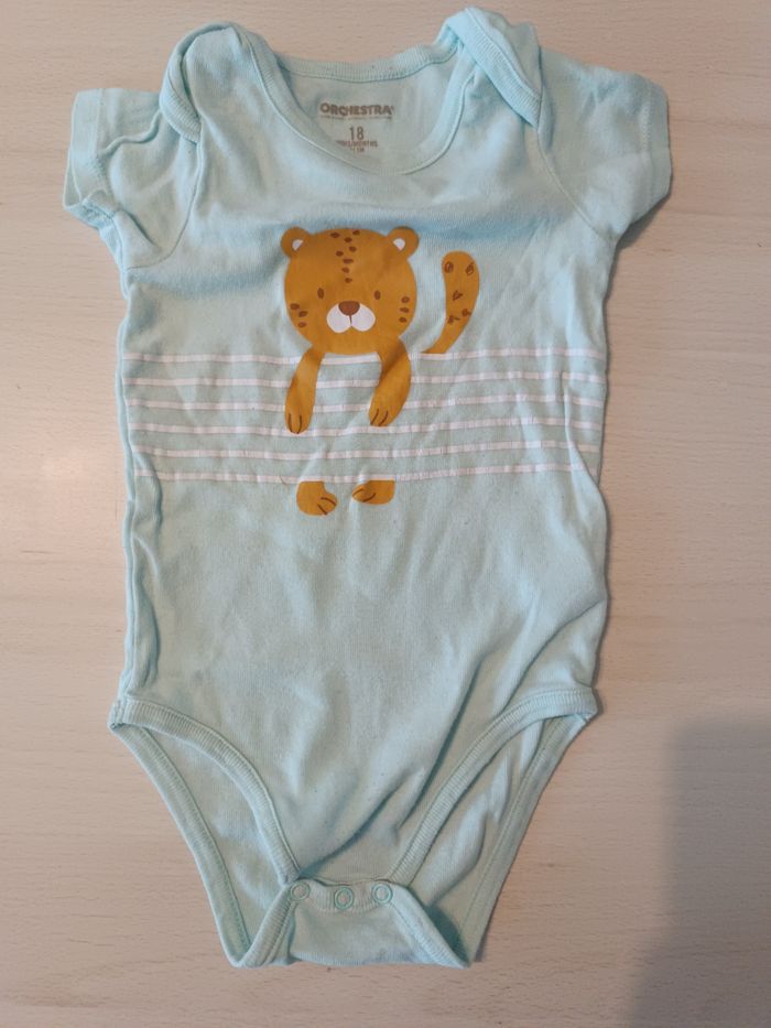Body tigre