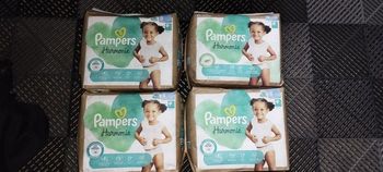 Couches Pampers harmonie Taille 5