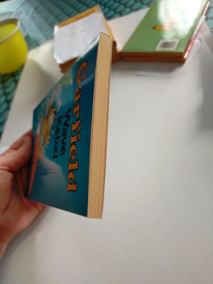 Garfield wave rebel - photo numéro 6