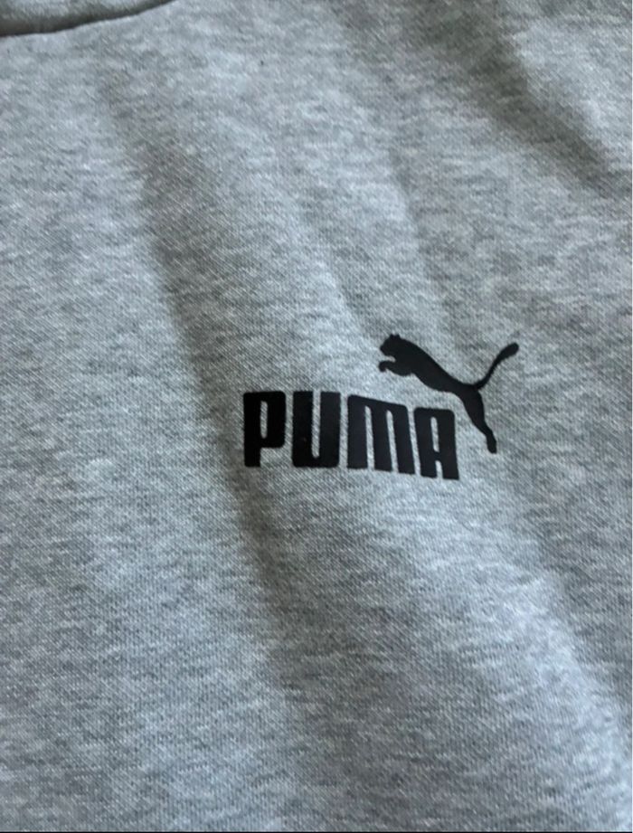 Sweat a capuche garçon Puma - photo numéro 3