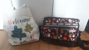 Lot de 2 sacs pour fille