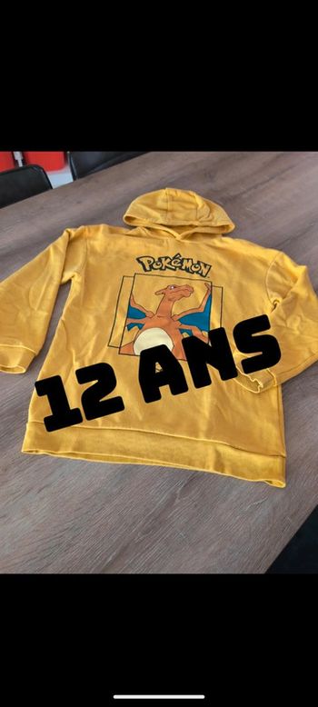 Pull pokémon garçon 12/13ans