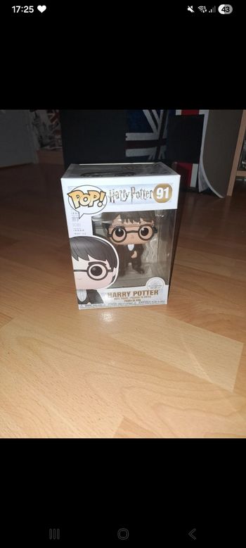 Pop Harry potter 