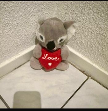 Peluche koala🧸
