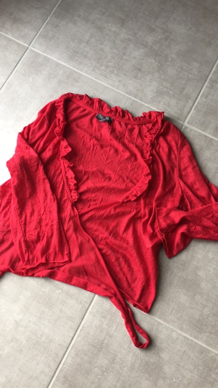 Gilet cœur croisé - photo numéro 2