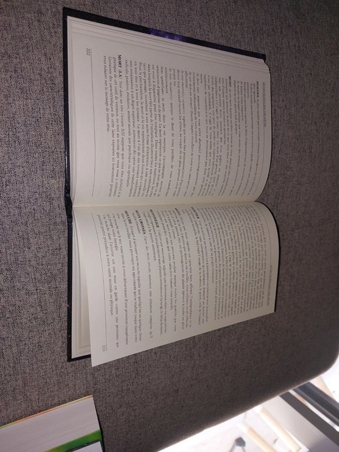 Le dictionnaire des rêves - photo numéro 3