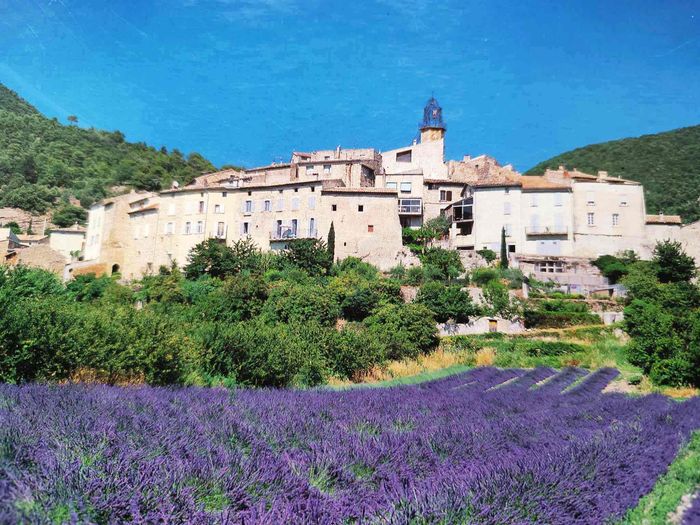 Puzzle 1000 pièces - photo numéro 3