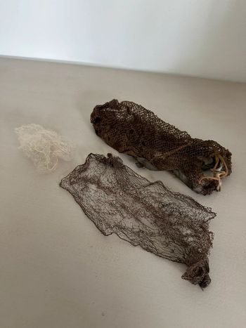 Lot de 3 filets à cheveux