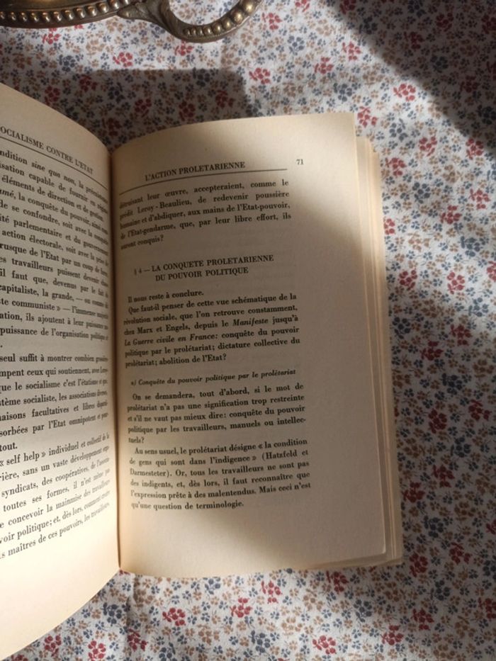 Le Socialisme contre l'Etat - photo numéro 6