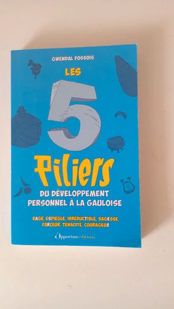 Les 5 piliers du développement personnel à la gauloise