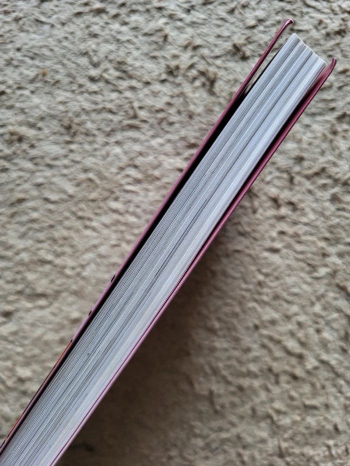 Roman jeunesse En scène les 5e de Pascale Perrier - photo numéro 3